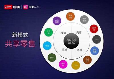 國美APP 想法雖好，市場機會已失