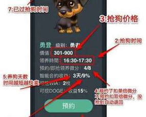 深圳區(qū)塊狗多幣種錢包交易軟件開發(fā)定制丨深圳區(qū)塊鏈技術(shù)開發(fā)公司